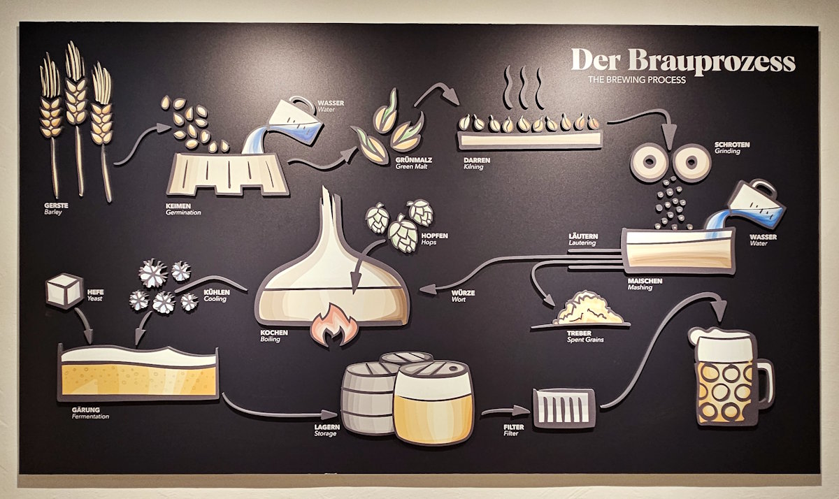 Museum display illustrating the brewing process from barley to beer